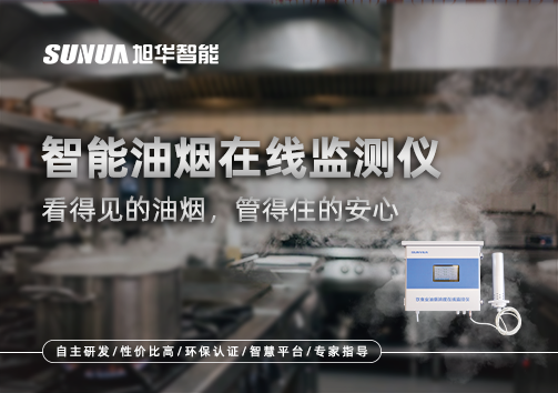 智能油烟在线监测仪：看得见的油烟，管得住的安心